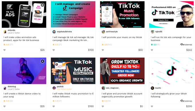 Fiverr gigs for tiktok promotion