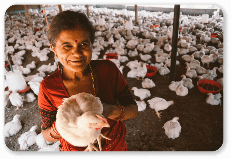 Poultry farm business