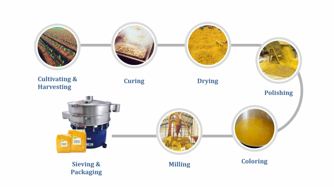 Turmeric Processing