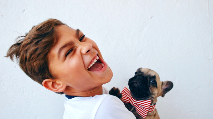 Pet bandana & bibs