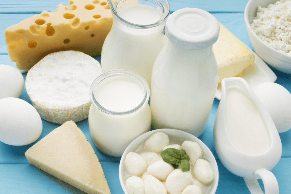 dairy products