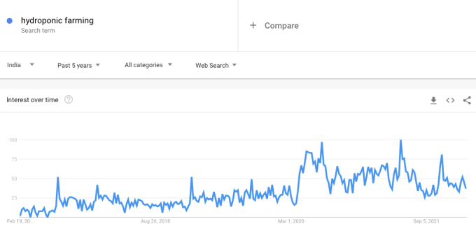 hydroponic farming trend on Google