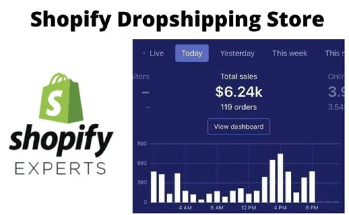 Shopify dropshipping