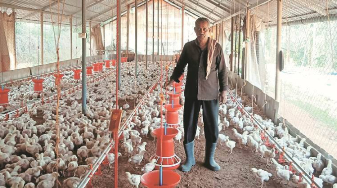 poultry farming